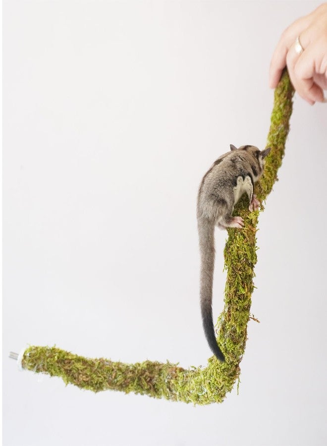 Begeterday 25 Inch Bendable Sugar Glider Climbing Toys, Ideal Sugar Glider Cage Accessories - Image 5